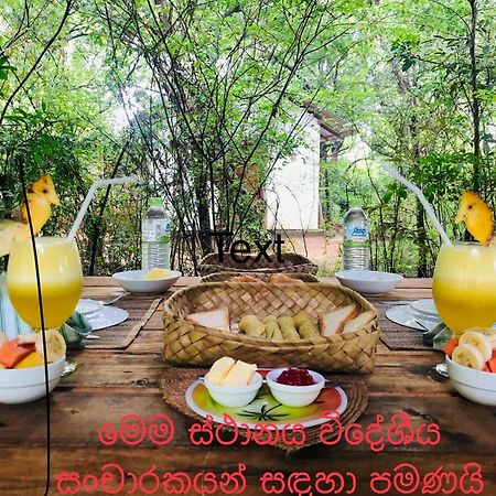 Grand Freedom Bed & Breakfast Sigiriya Exterior photo
