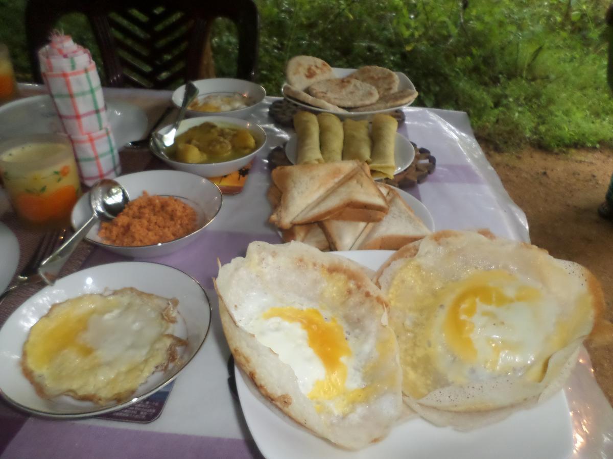 Grand Freedom Bed & Breakfast Sigiriya Exterior photo